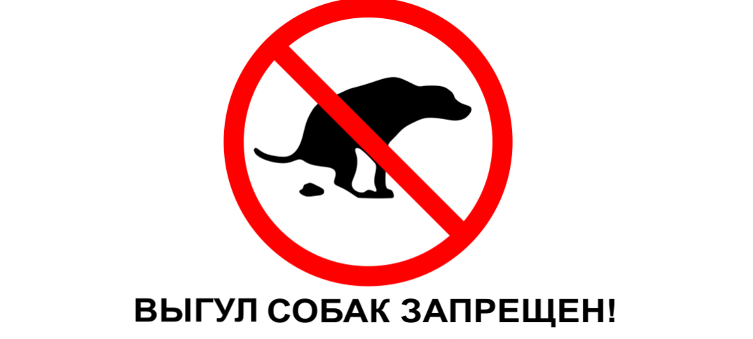 Дворник в Петрозаводске побил женщину, у которой собака нагадила на газон