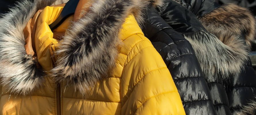 Вор в Петрозаводске продал украденную куртку в 11 раз дешевле реальной стоимости