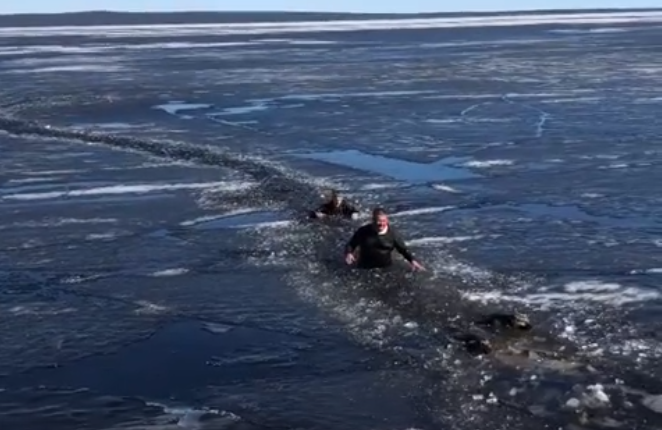 Провалившихся под лёд собак в Петрозаводске спасли случайные прохожие (ВИДЕО)
