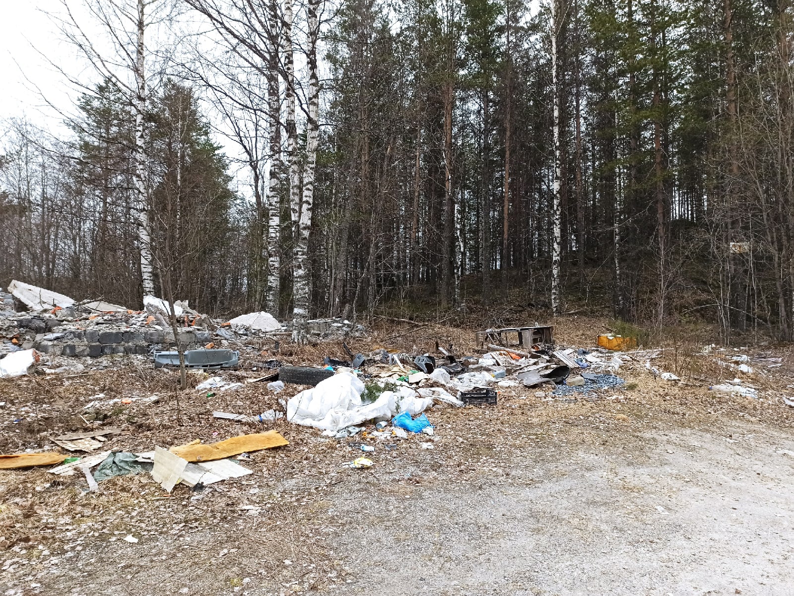  

«Моральные уроды вываливают мусор»: жители города в Карелии жалуются на стихийную свалку (ФОТО)