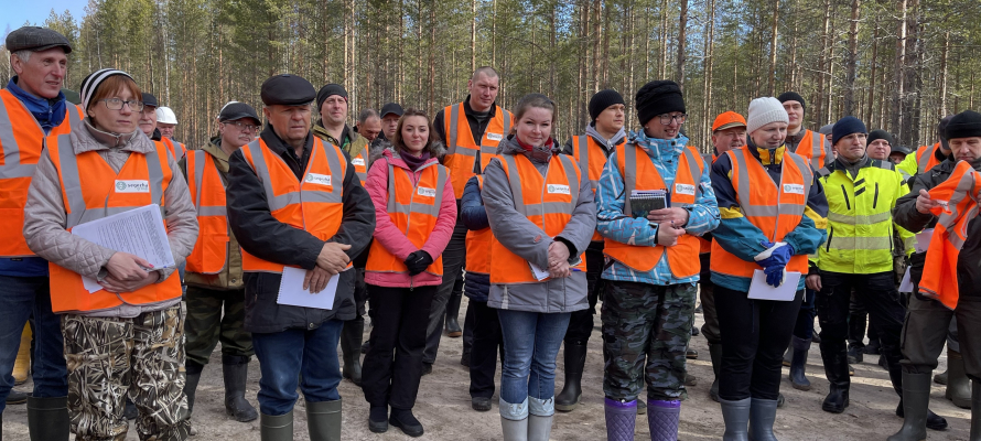 Предприятия Segezha Group первыми в Карелии внедряют интенсивную модель лесопользования