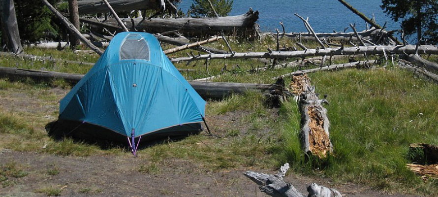 Карелия лидирует в рейтинге самых «палаточных» направлений для отдыха летом