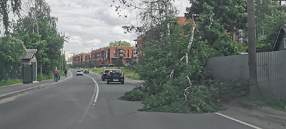 В Петрозаводске деревья обрушились на жилой дом и перегородили дорогу (ФОТО)