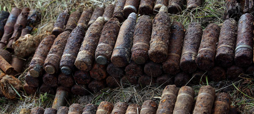 В Карелии саперы уничтожили 12 снарядов, которые нашли в лесу