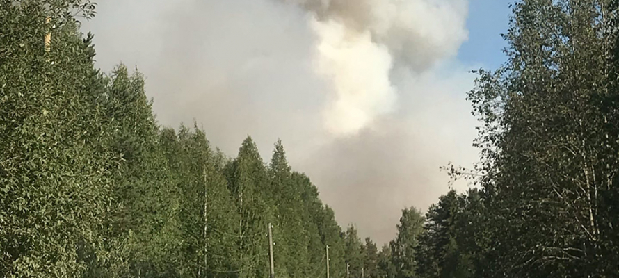 Спасатели локализовали лесной пожар, угрожавший поселку в Карелии