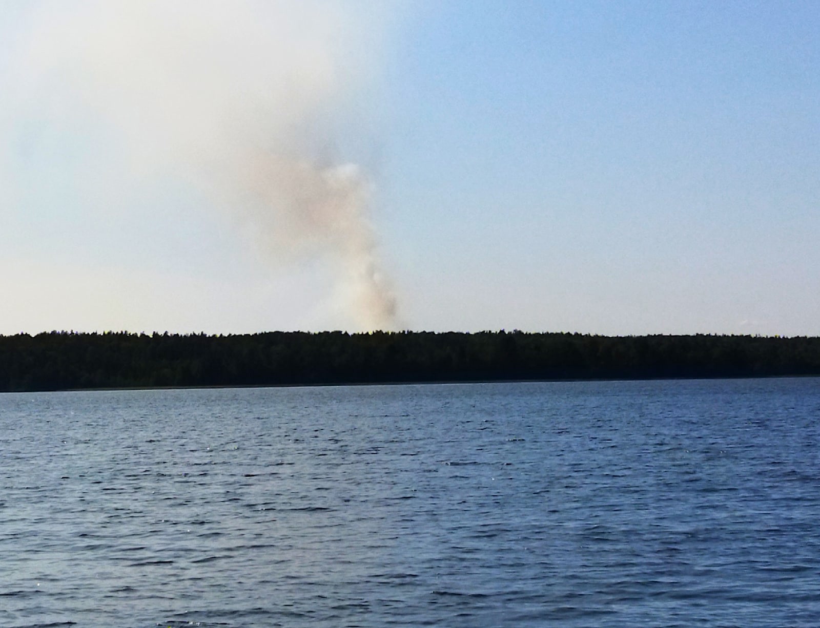 Возгорание леса произошло в Кондопожском районе Карелии