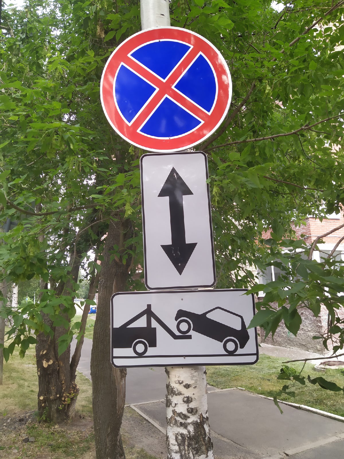 Дорожные знаки прибивают гвоздями к деревьям на улице в Петрозаводске (ФОТОФАКТ)