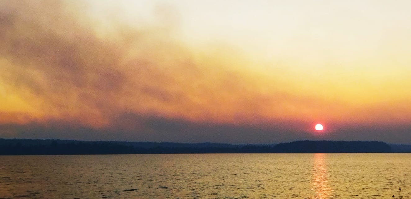 В Карелии снизилось число лесных пожаров