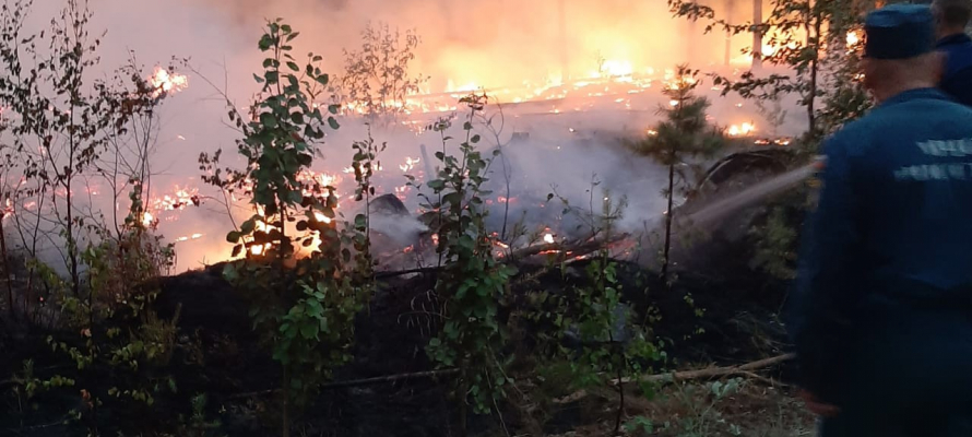 Вырвавшийся язык пламени под поселком Найстенъярви в Карелии за сутки уничтожил 100 гектаров леса