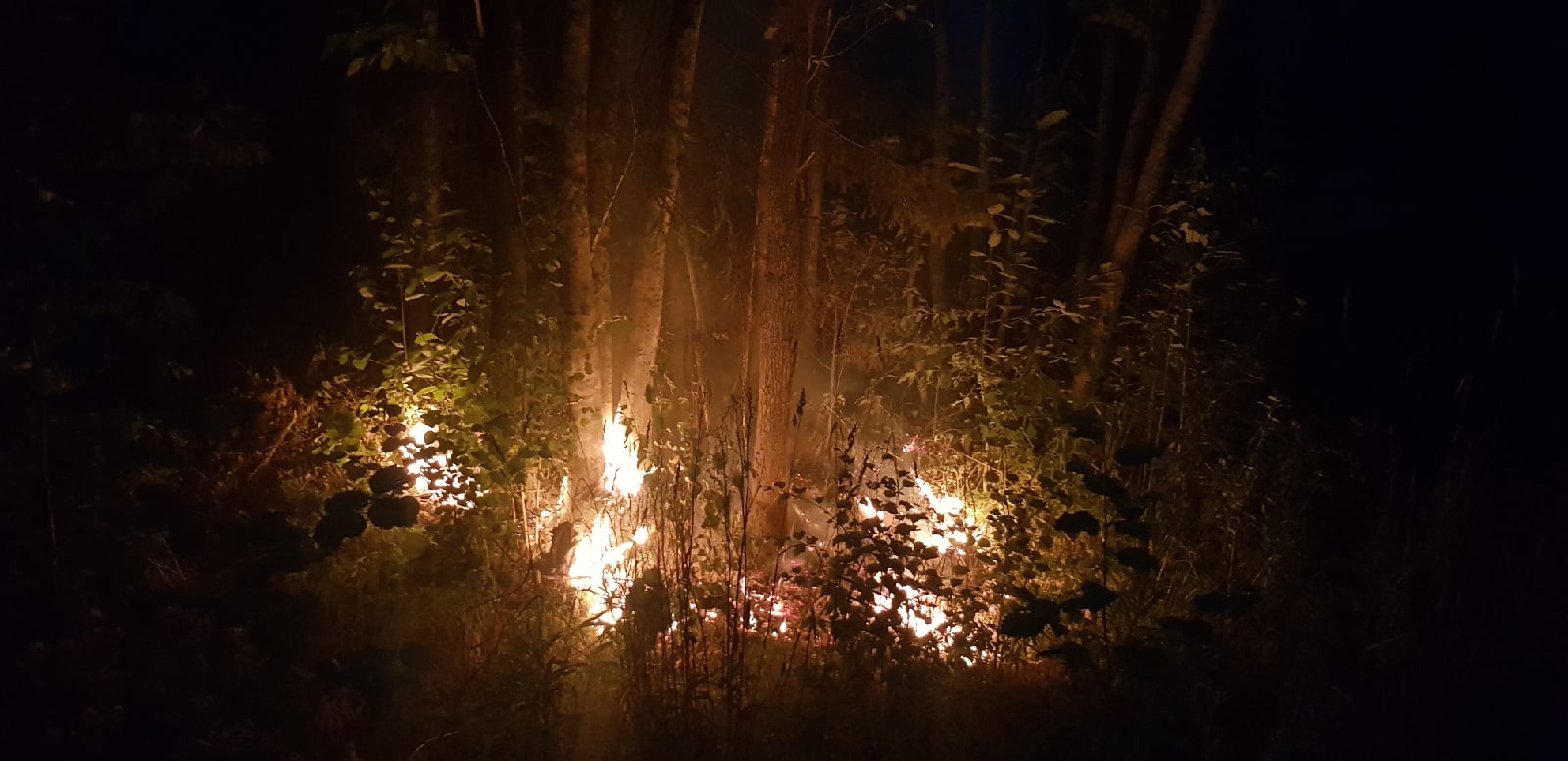 В Карелии окарауливают шесть лесных пожаров