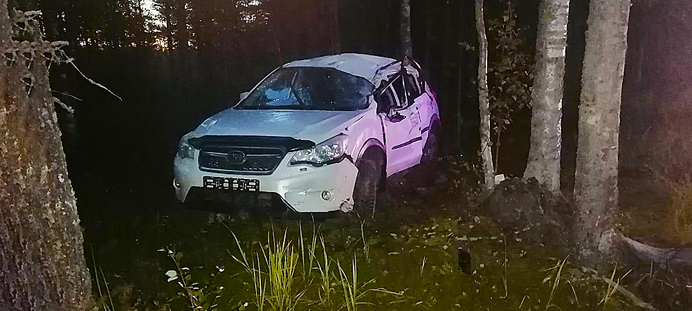 В Карелии на трассе «Кола» разбился автомобиль, в котором находились женщина с тремя детьми