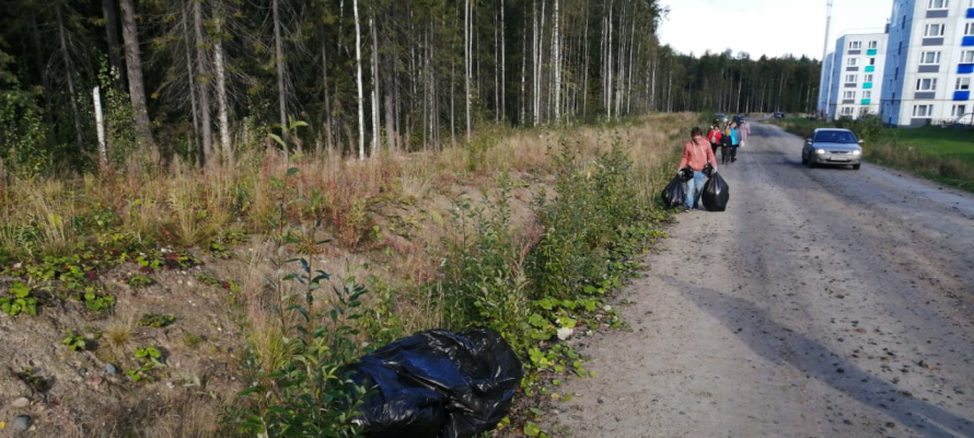 Добровольцы собрали более 20 мешков мусора на субботнике в Петрозаводске