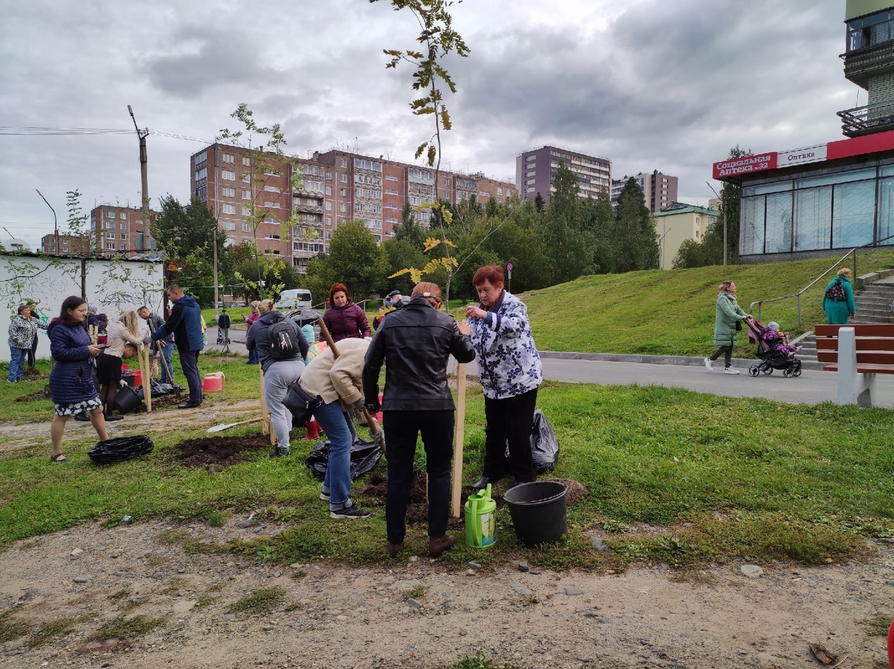 Глава Петрозаводска объединил усилия с представителями диаспор в работе по озеленению города