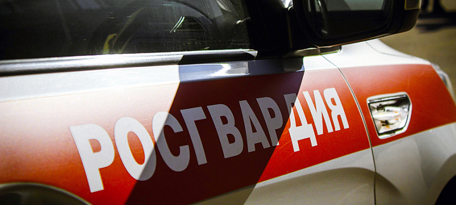 В Петрозаводске охранница сдала росгвардейцам пьяного автомобилиста 