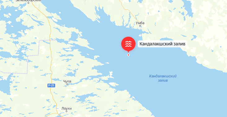 Один человек погиб, трое пропали без вести при крушении судна в Белом море