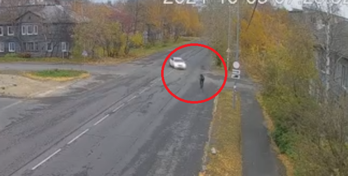 Велосипедист взлетел в воздух после столкновения с машиной в Петрозаводске (ВИДЕО)