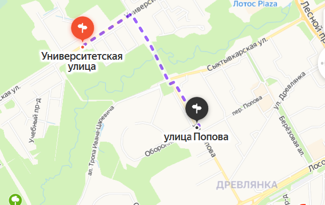 Проект строительства дороги в лесной зоне Петрозаводска расколол участников публичных слушаний