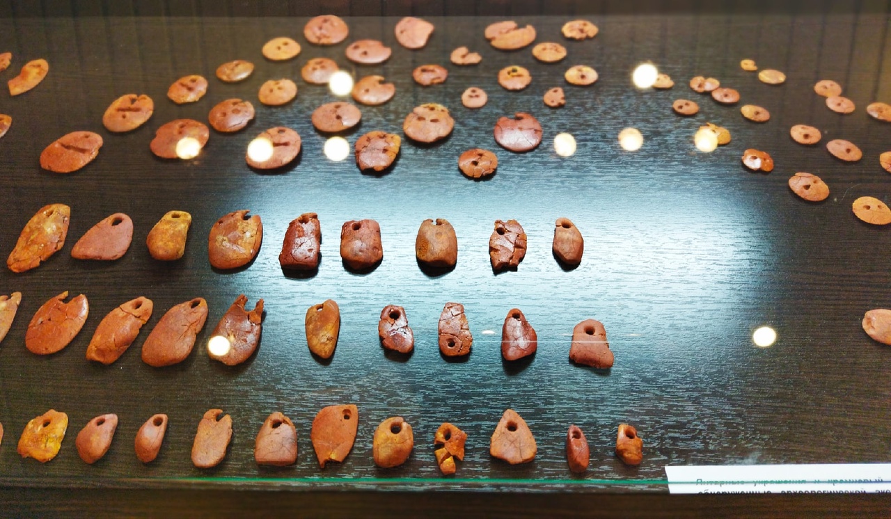 В Петрозаводском университете представлены археологические находки из погребения «янтарного человека»