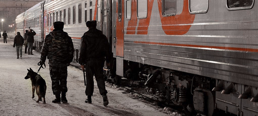 В Карелии транспортные полицейские сняли с поезда двух пассажиров, устроивших пьяный дебош