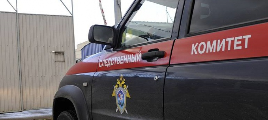 Следком проводит проверку по факту смерти женщины на пожаре на севере Карелии