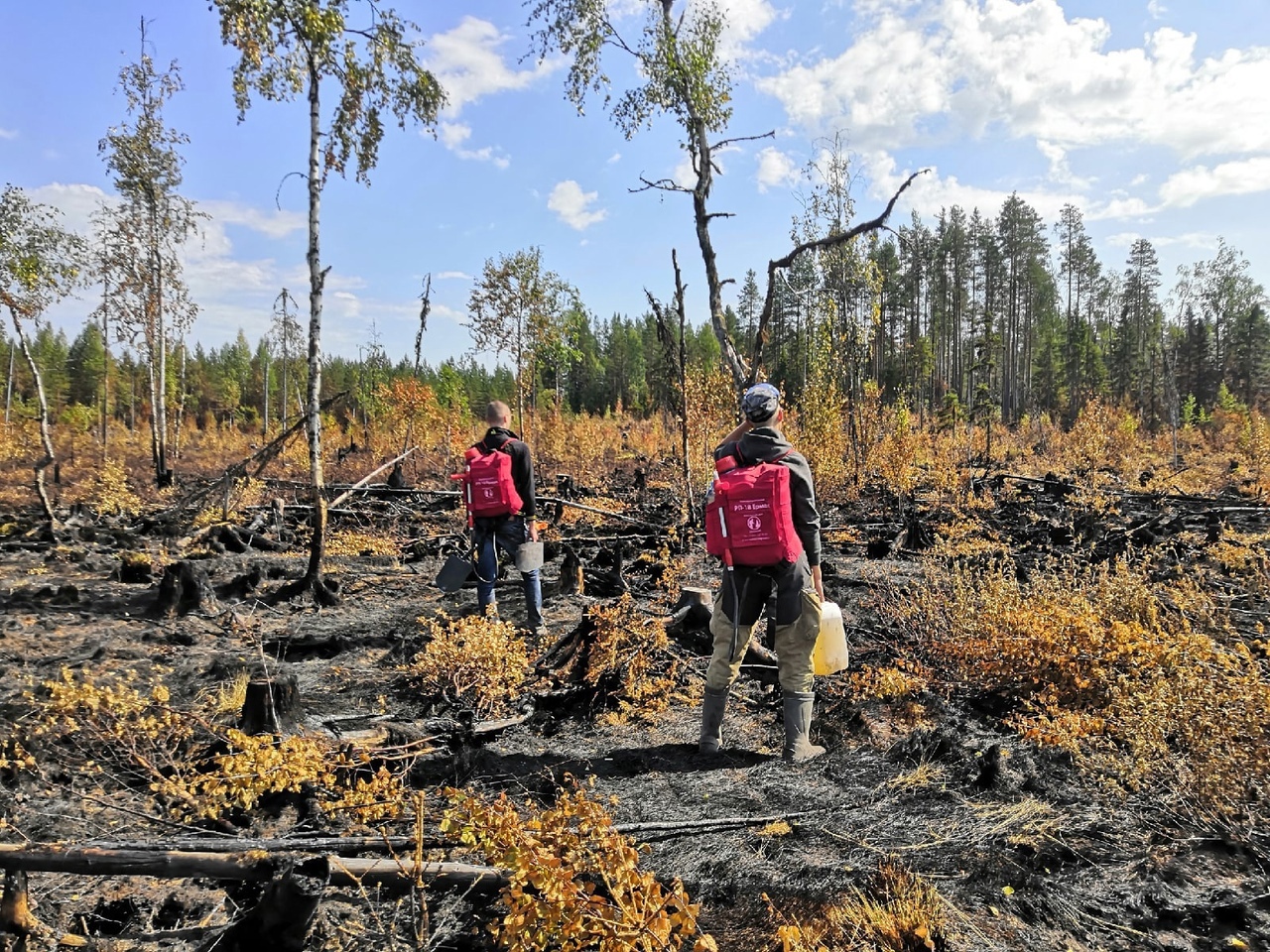 Выставка «Воины света…» расскажет о борьбе волонтеров с лесными пожарами в Карелии