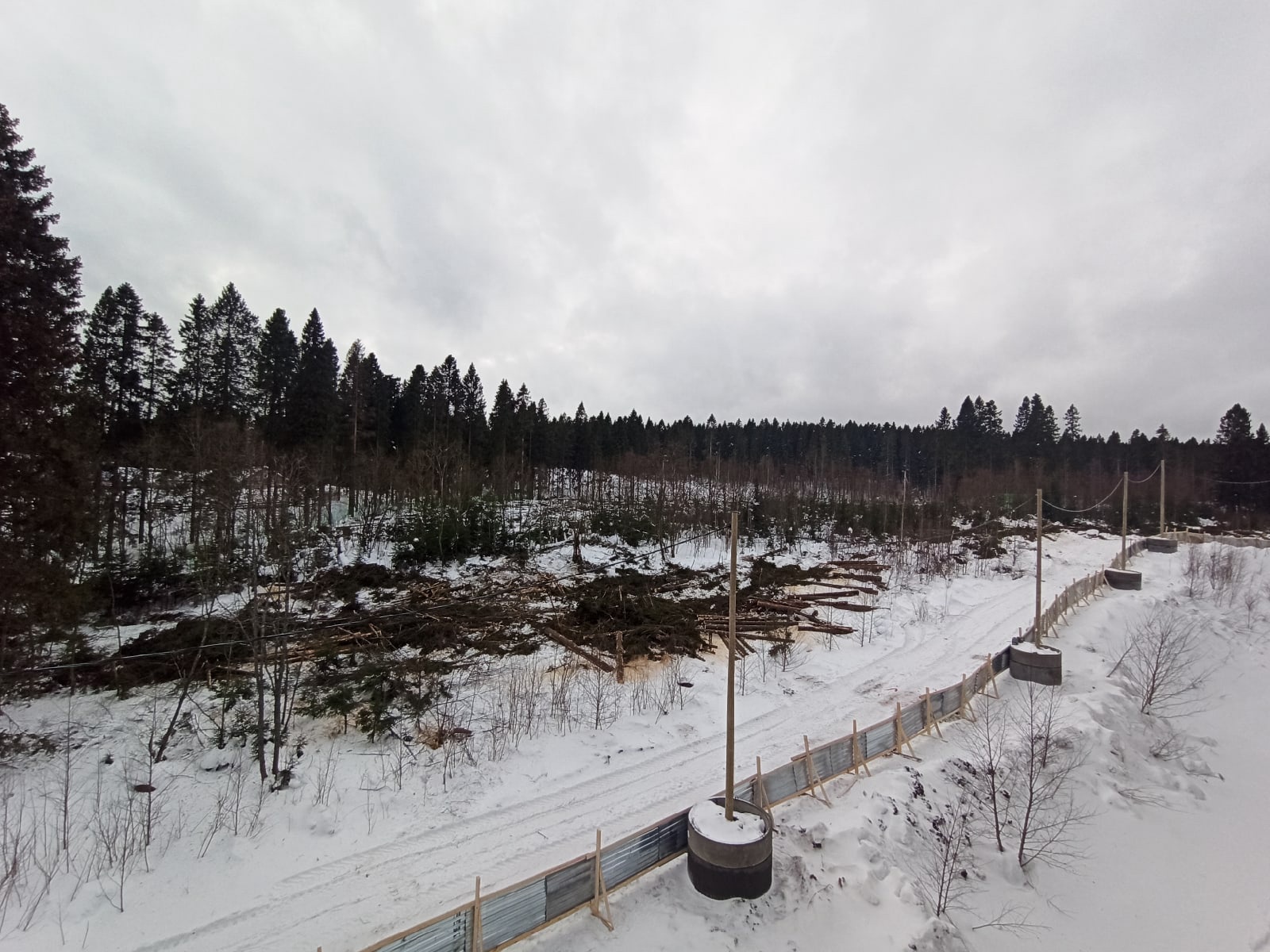 Масштабная вырубка леса прошла на Старой Кукковке в Петрозаводске (ФОТО)
