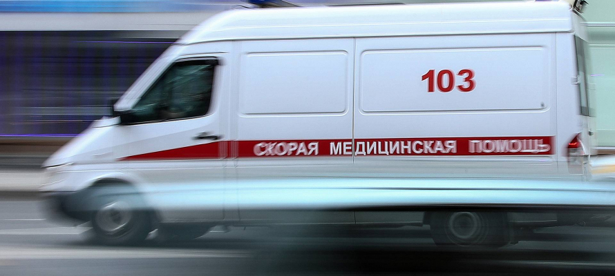 Грузовик сбил 7-летнего ребенка на трассе «Кола» в Карелии