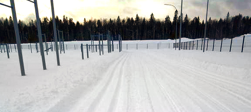 Спортшкола подготовила лыжные трассы возле нескольких образовательных учреждений Петрозаводска