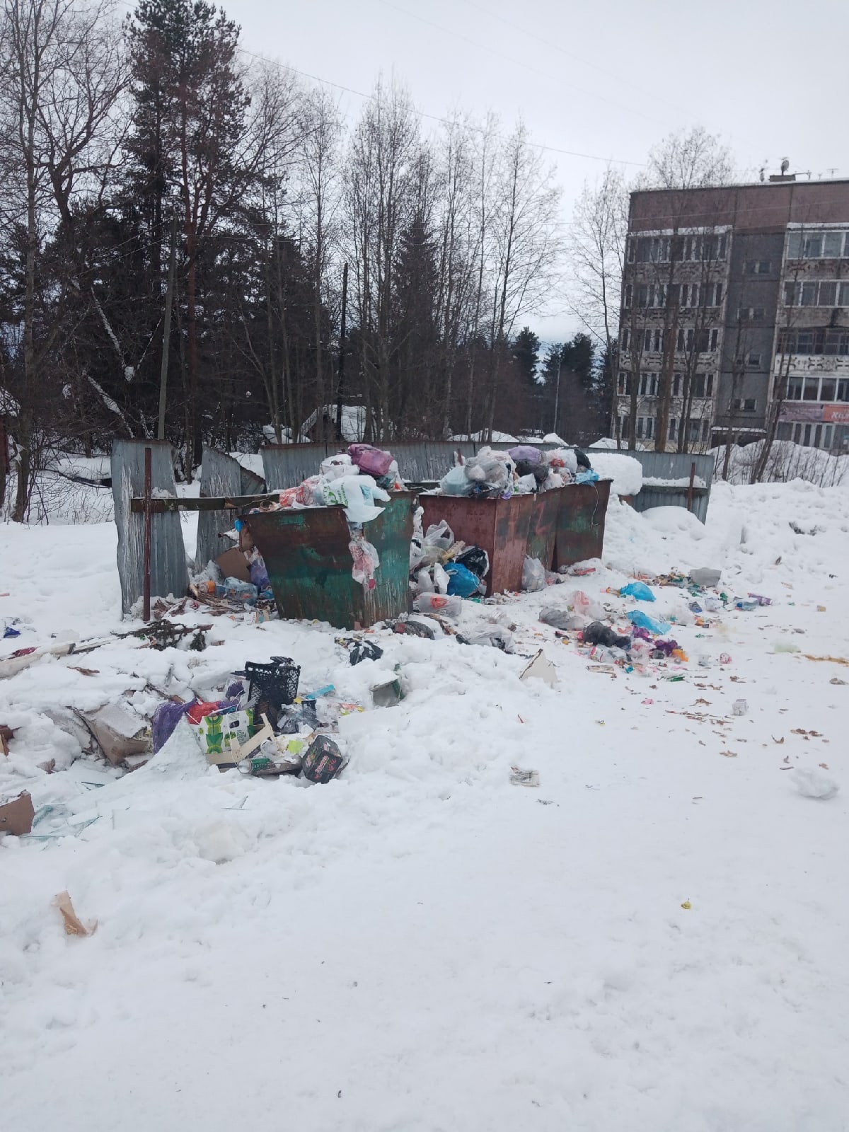 Мусорная площадка «лопается» от отходов в поселке Карелии 