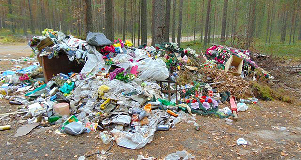 Власти решили бить рублем по любителям выбрасывать мусор в лес