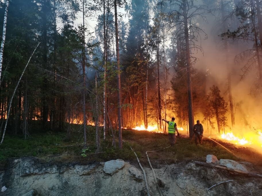 Около 360 млн рублей выделено Карелии на борьбу с лесными пожарами