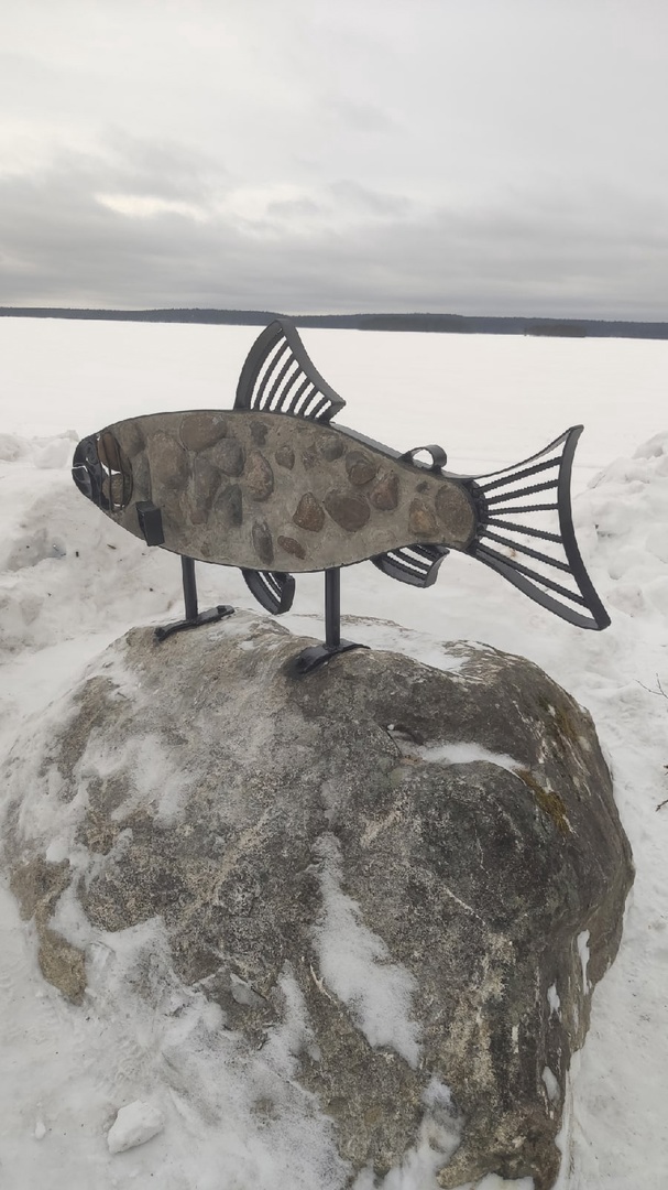 Металлические рыбки поселились на берегу озера в Карелии