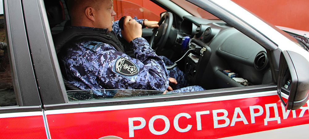 Росгвардейцы задержали жителя Петрозаводска, позарившегося на автомобильные ароматизаторы