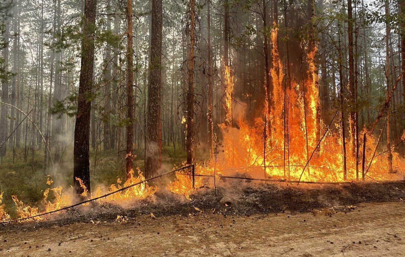 Карелия пожары Лесные 2021