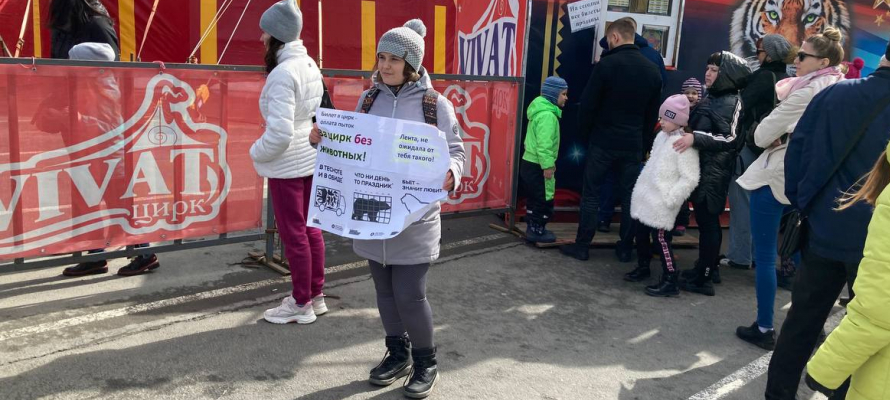 Зоозащитница провела очередной пикет против работы передвижного цирка в Петрозаводске