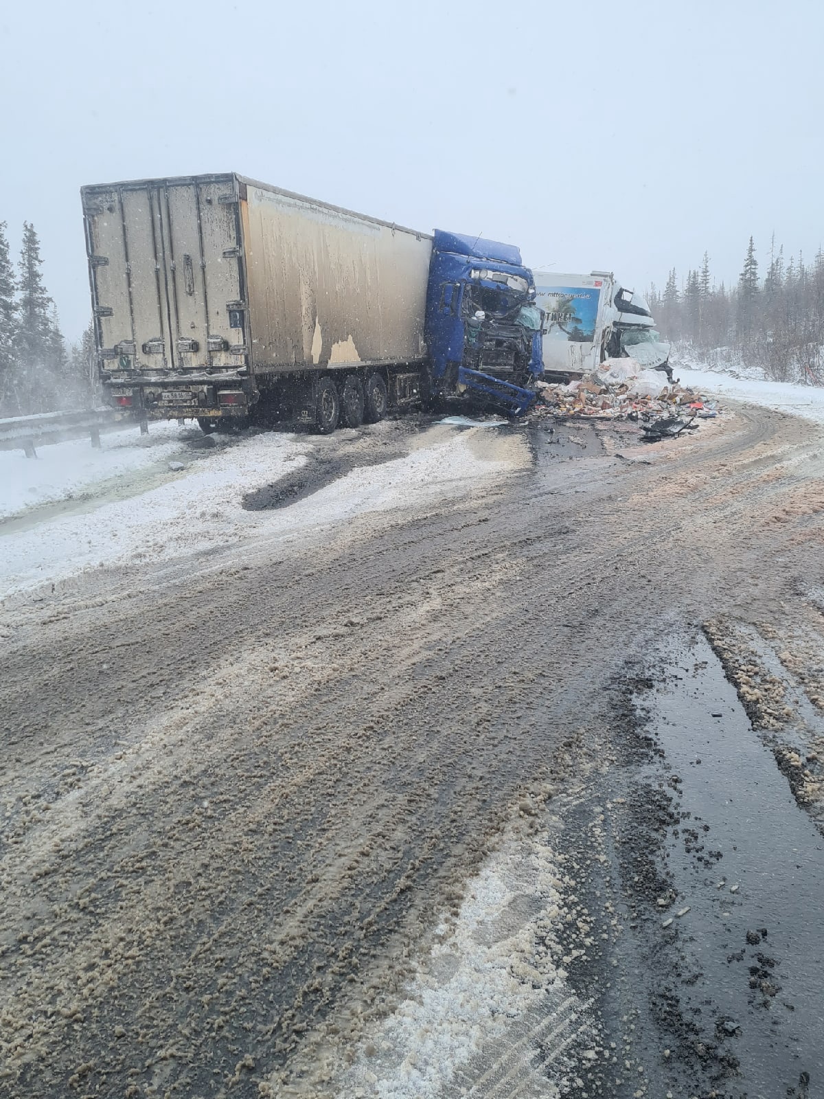 Водитель грузовика из Карелии погиб на трассе в Мурманской области (ВИДЕО)