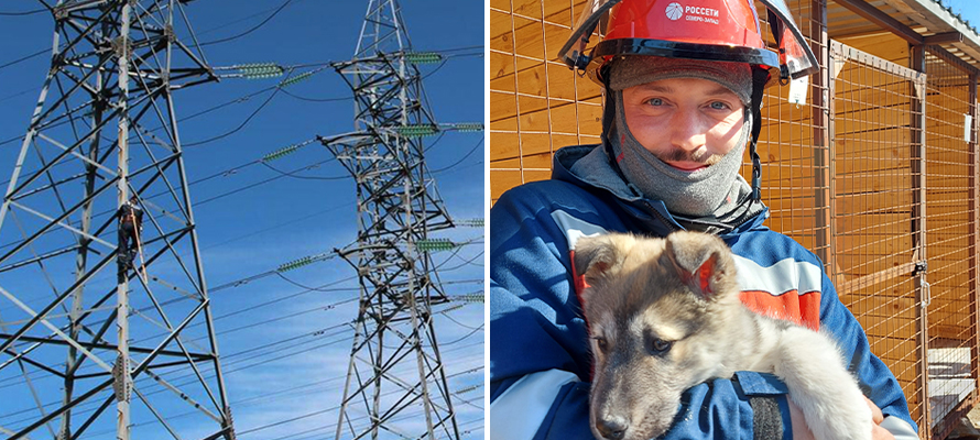 «Россети Северо-Запад» обеспечили электроснабжение приюта помощи животным в Беломорске