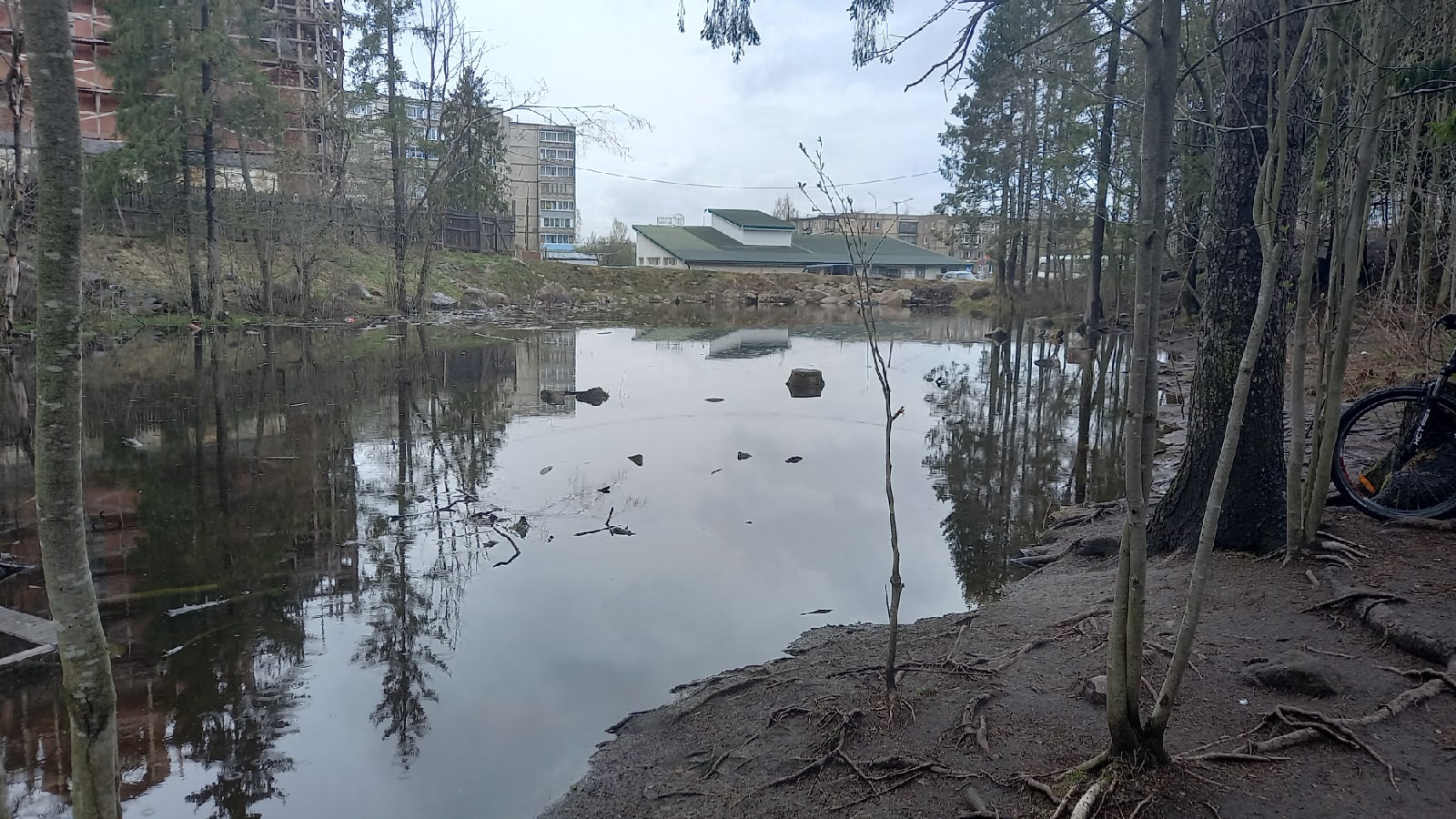 Парк беличий остров петрозаводск