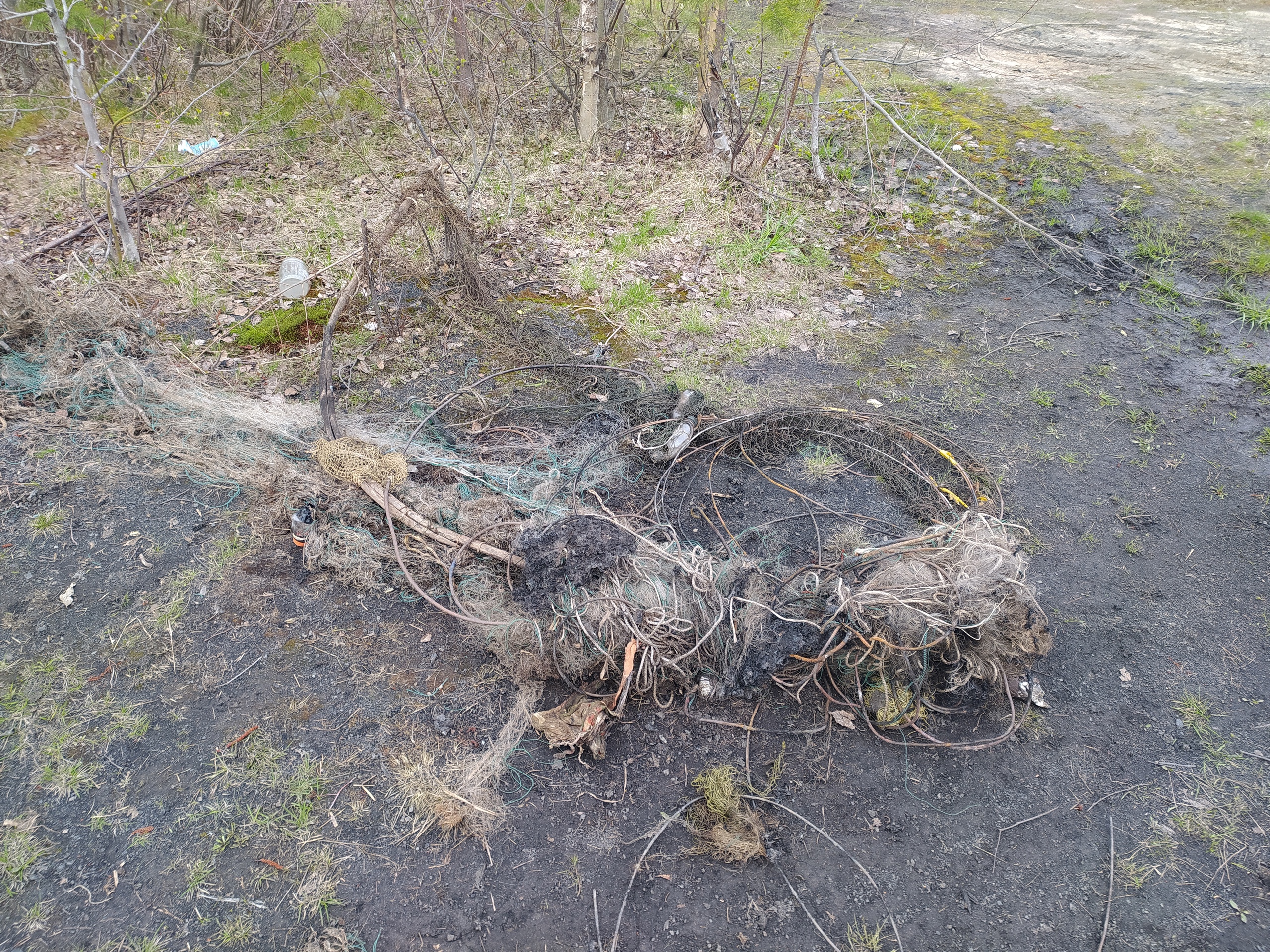 Уничтожение браконьерских сетей приводит к загрязнению природы в Карелии