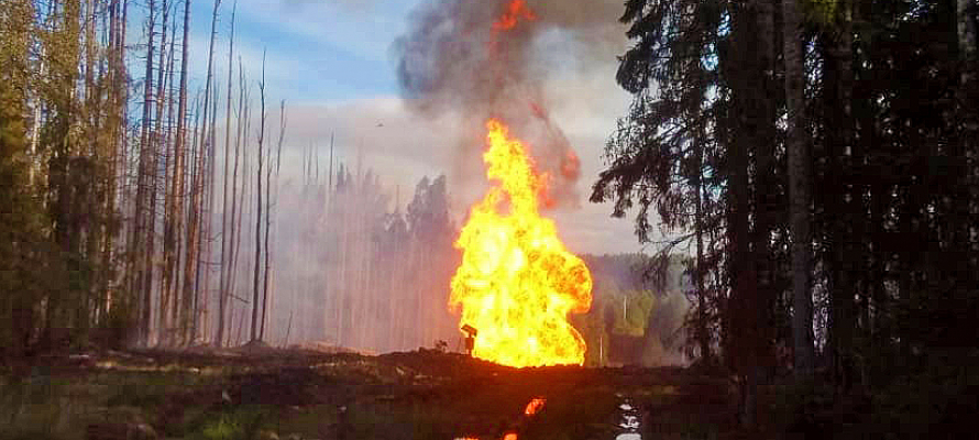 Взорвавшийся в Карелии участок газопровода «не дожил» до планового ремонта