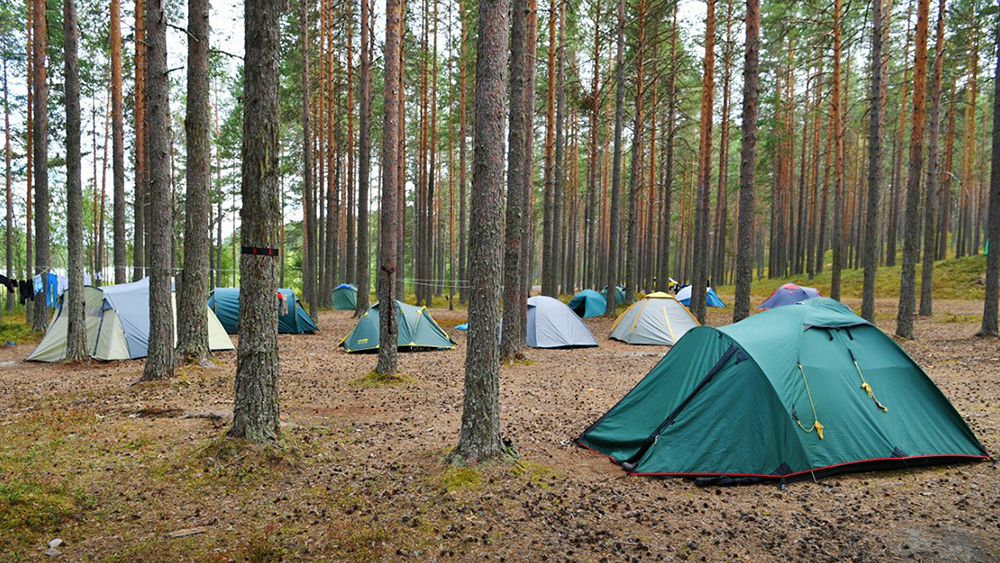 Кемпинг в Карелии с палатками