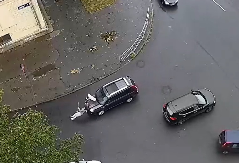 Женщину с зонтом сбила машина в центре Петрозаводска (ВИДЕО)