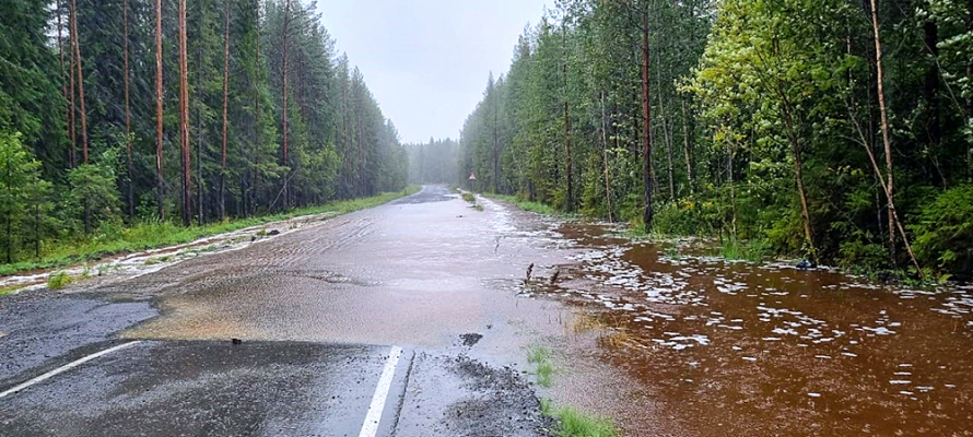 В Карелии дорога в четыре дачных кооператива перекрыта из-за потопа
