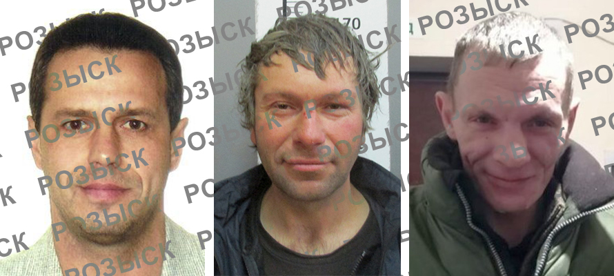 Трое жителей Карелии, скрывшиеся от суда и следствия, объявлены в розыск