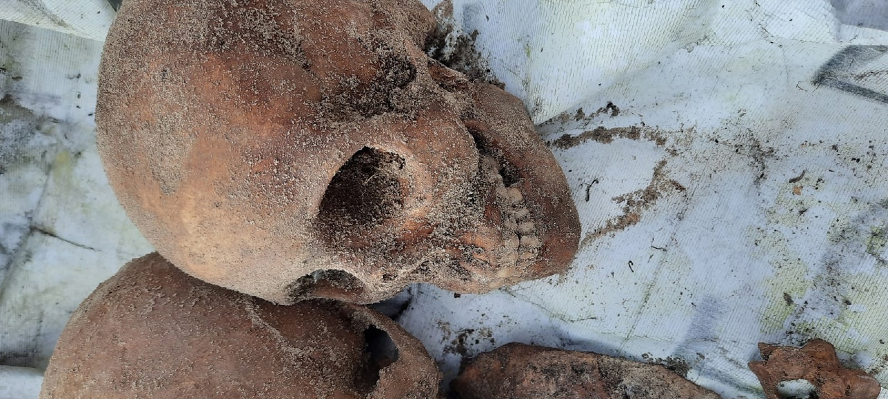 Рабочие обнаружили человеческие останки на участке в Карелии (ФОТО 18+)