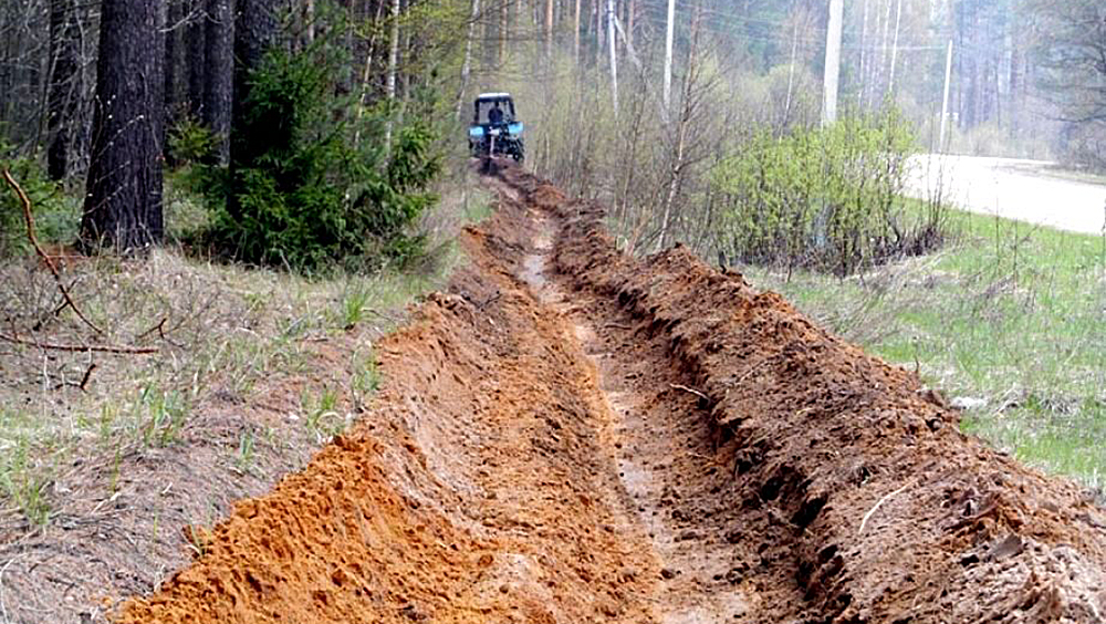 Одно из крупнейших предприятий Карелии защитило лес по просьбе приставов