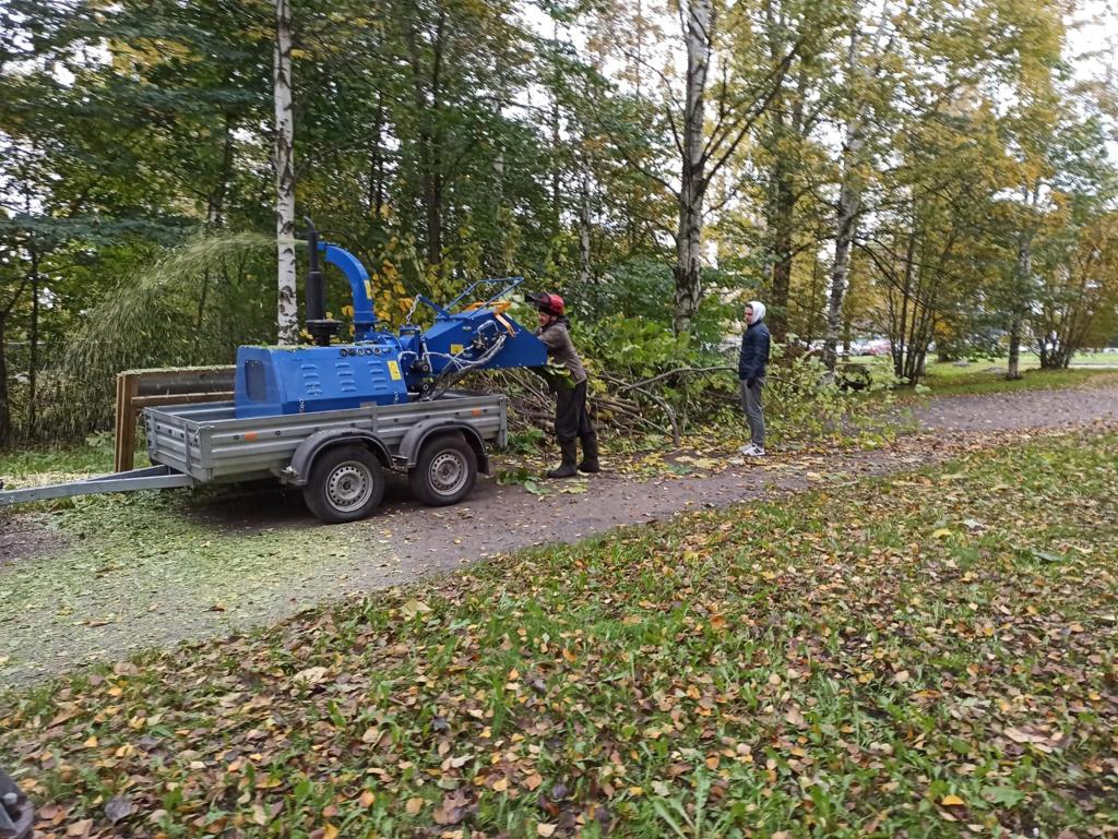 Деревья вырубили в Якорном парке в Петрозаводске