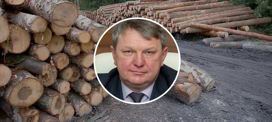 Суд обязал замминистра природы Карелии Щепина выплатить 28,8 млн рублей за вырубку леса