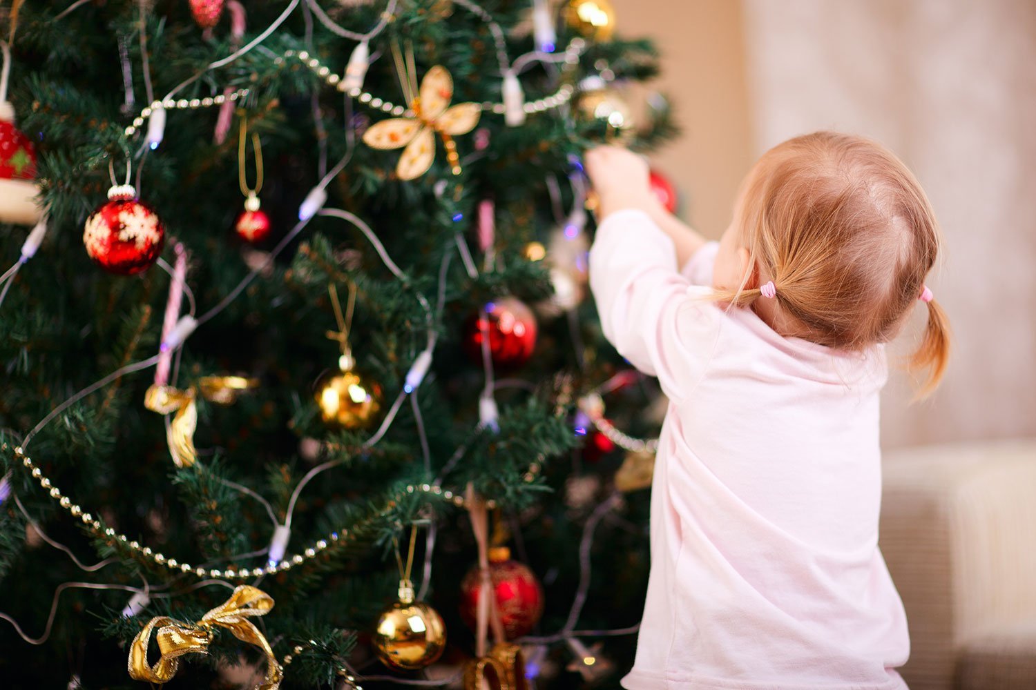 Более 600 детей позовут на рождественскую елку в Петрозаводске
