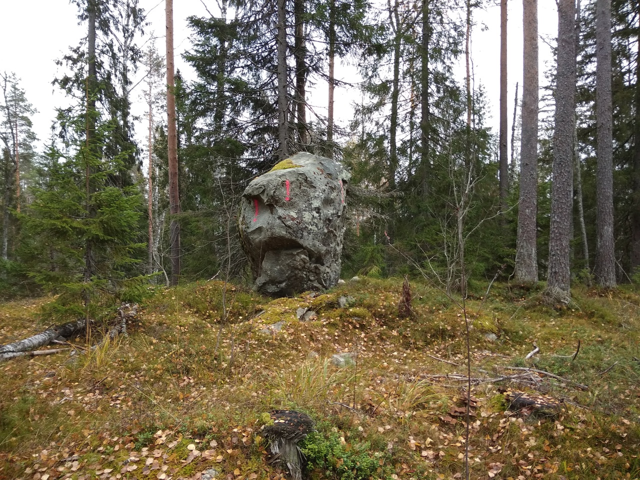 Большой колей. Мегалиты Карелии. Валуны в лесу Пермский. Импилахтинская железная дорога Карелия.